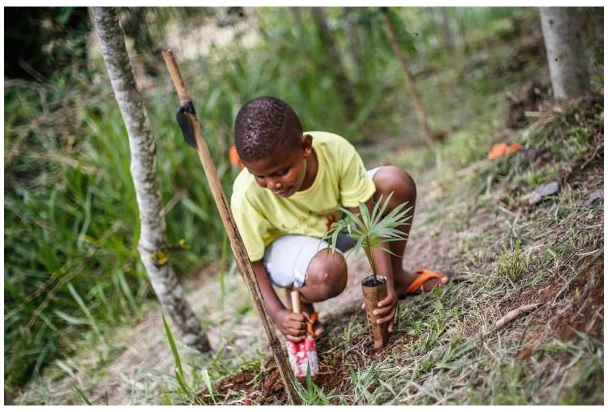 Educação Ambiental