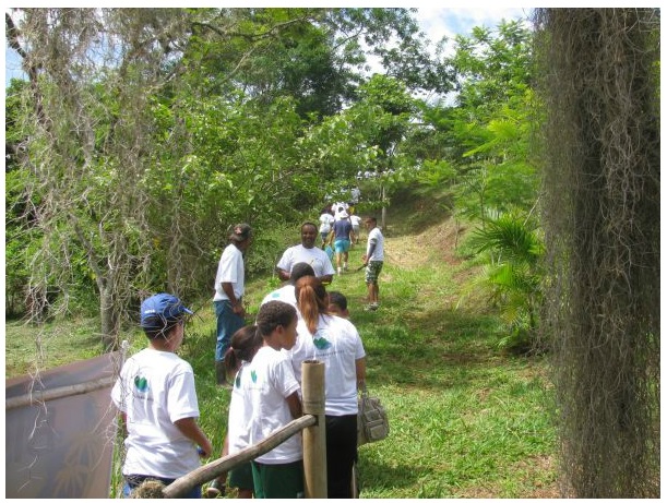 Criança e Adolescente