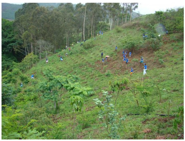 Educação Ambiental